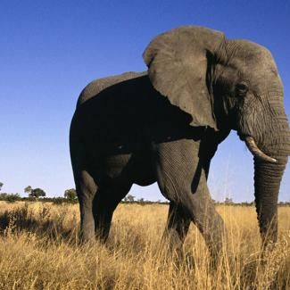 image-undefined